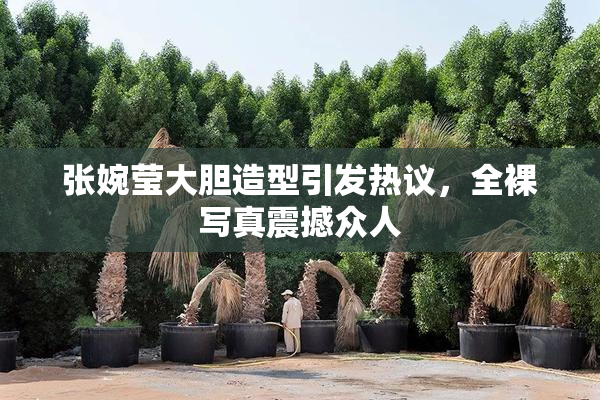 张婉莹大胆造型引发热议，全裸写真震撼众人