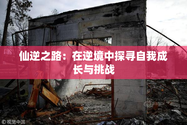 仙逆之路：在逆境中探寻自我成长与挑战