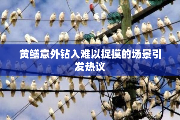 黄鳝意外钻入难以捉摸的场景引发热议
