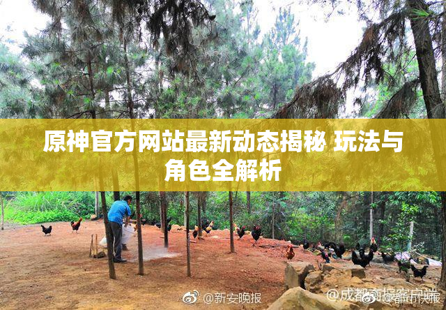 原神官方网站最新动态揭秘 玩法与角色全解析