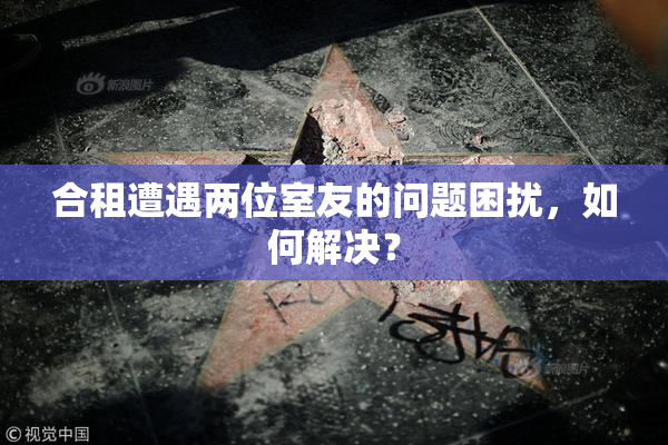 合租遭遇两位室友的问题困扰，如何解决？