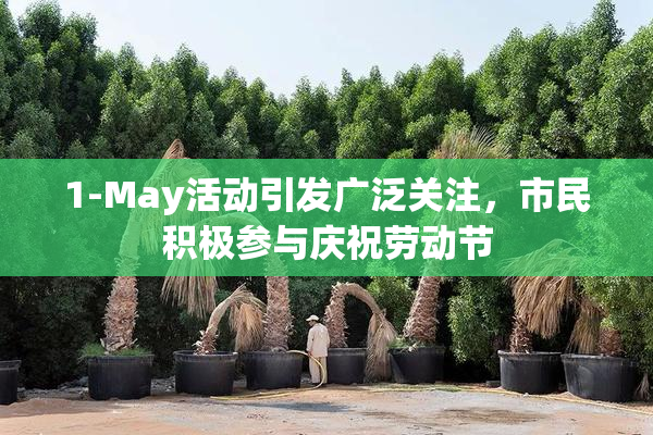 1-May活动引发广泛关注，市民积极参与庆祝劳动节