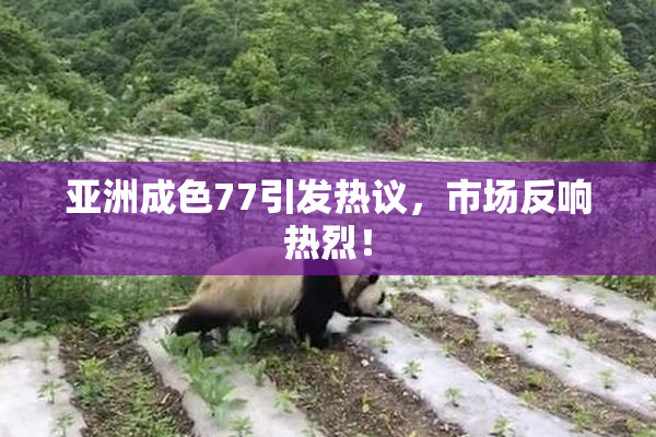 亚洲成色77引发热议，市场反响热烈！