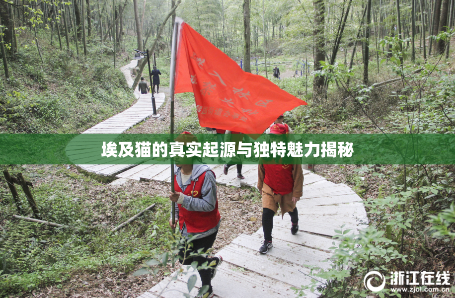 埃及猫的真实起源与独特魅力揭秘