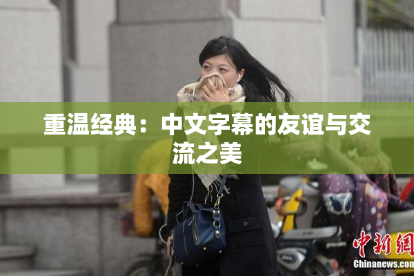 重温经典：中文字幕的友谊与交流之美