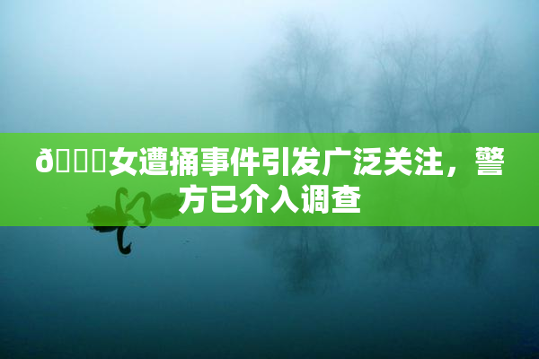 🔞女遭捅事件引发广泛关注，警方已介入调查