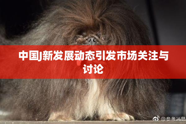 中国J新发展动态引发市场关注与讨论