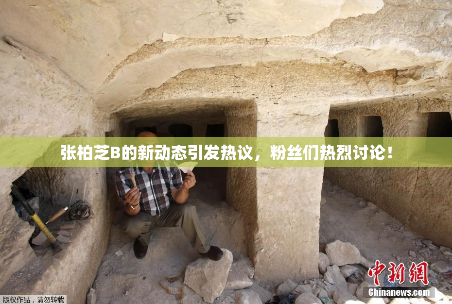 张柏芝B的新动态引发热议，粉丝们热烈讨论！