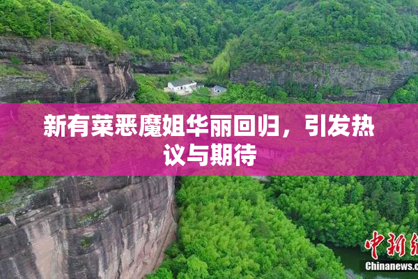 新有菜恶魔姐华丽回归，引发热议与期待