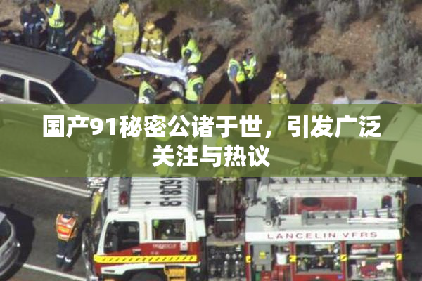 国产91秘密公诸于世，引发广泛关注与热议