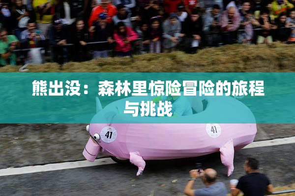 熊出没：森林里惊险冒险的旅程与挑战