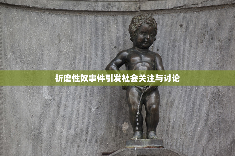 折磨性奴事件引发社会关注与讨论