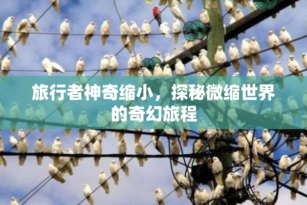 旅行者神奇缩小，探秘微缩世界的奇幻旅程