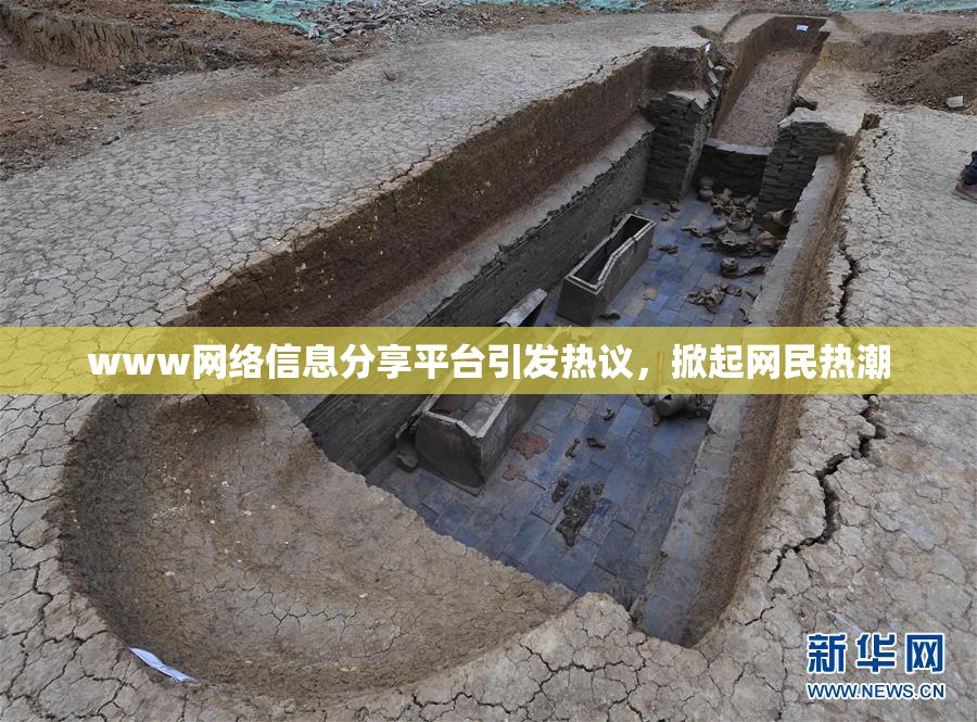 www网络信息分享平台引发热议，掀起网民热潮