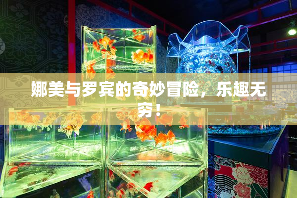 娜美与罗宾的奇妙冒险，乐趣无穷！