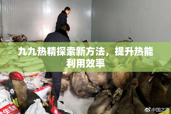 九九热精探索新方法，提升热能利用效率