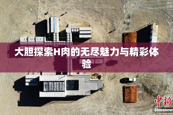 大胆探索H肉的无尽魅力与精彩体验