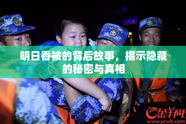 明日香被的背后故事，揭示隐藏的秘密与真相