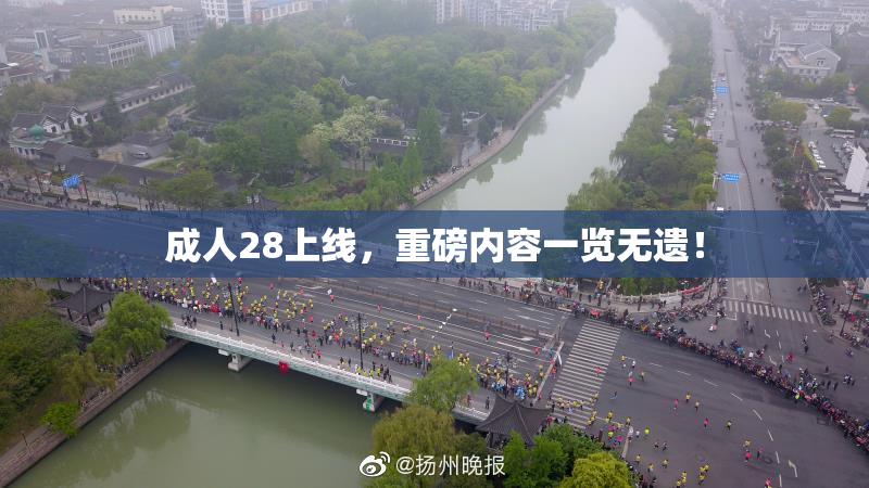 成人28上线，重磅内容一览无遗！