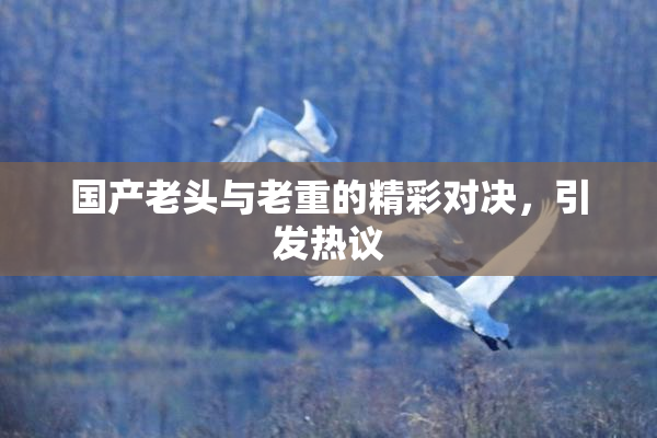 国产老头与老重的精彩对决，引发热议