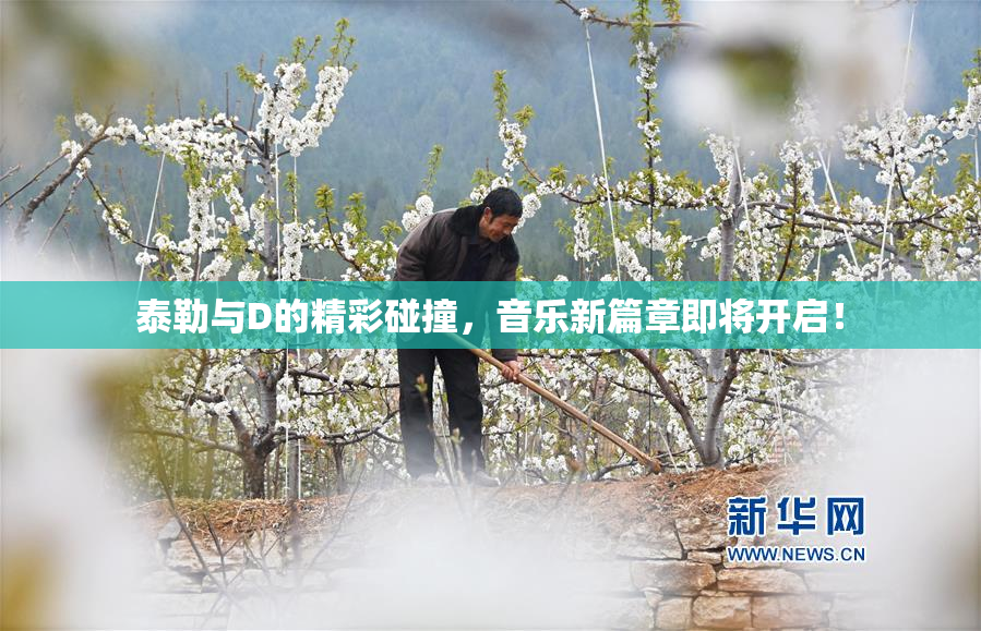 泰勒与D的精彩碰撞，音乐新篇章即将开启！