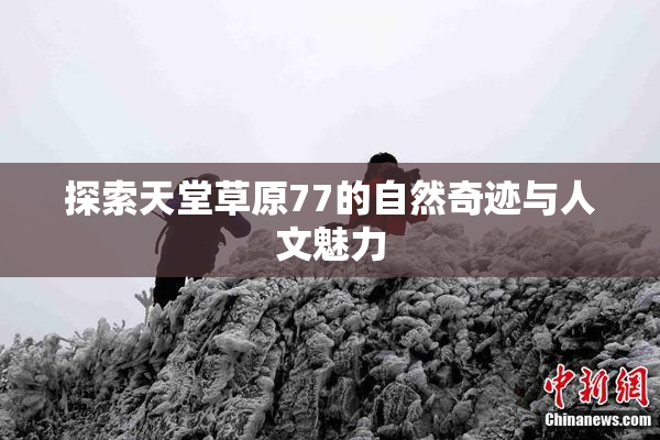 探索天堂草原77的自然奇迹与人文魅力