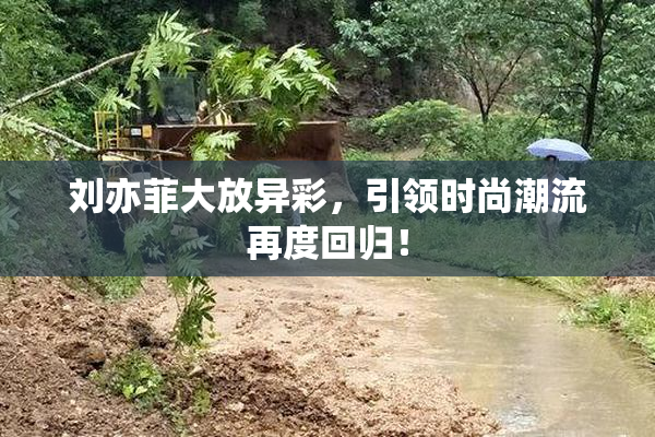 刘亦菲大放异彩，引领时尚潮流再度回归！