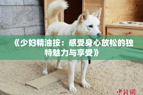 《少妇精油按：感受身心放松的独特魅力与享受》