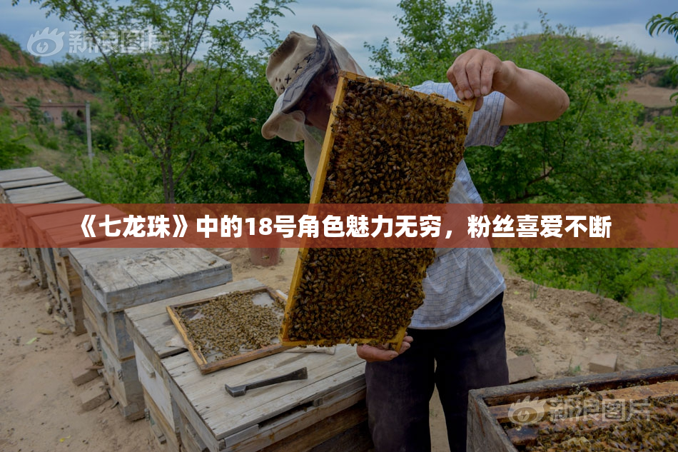 《七龙珠》中的18号角色魅力无穷，粉丝喜爱不断