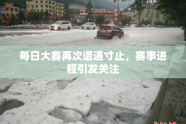 每日大赛再次遭遇寸止，赛事进程引发关注