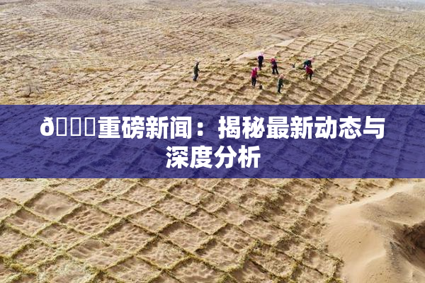 🈚重磅新闻：揭秘最新动态与深度分析