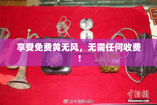享受免费黄无风，无需任何收费！