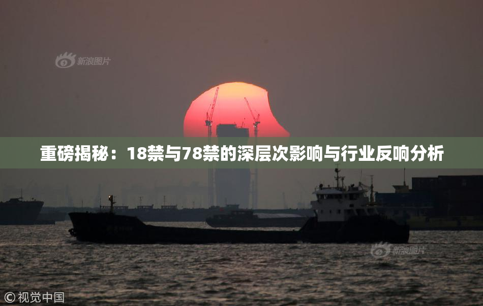 重磅揭秘：18禁与78禁的深层次影响与行业反响分析