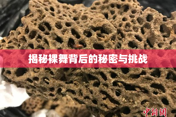 揭秘裸舞背后的秘密与挑战