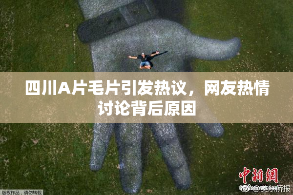 四川A片毛片引发热议，网友热情讨论背后原因