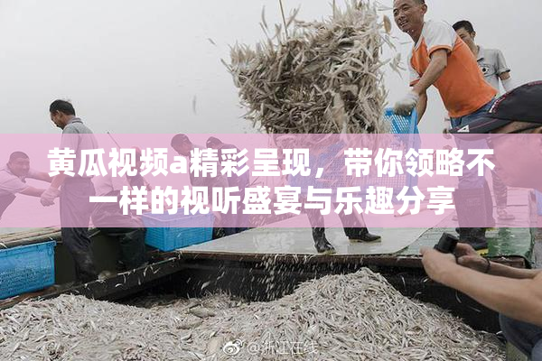 黄瓜视频a精彩呈现，带你领略不一样的视听盛宴与乐趣分享