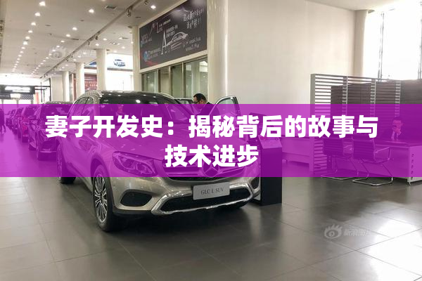 妻子开发史：揭秘背后的故事与技术进步