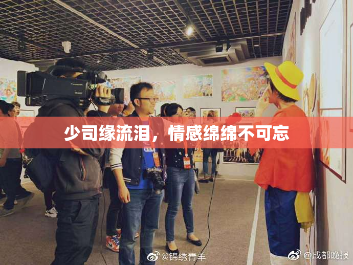 少司缘流泪，情感绵绵不可忘