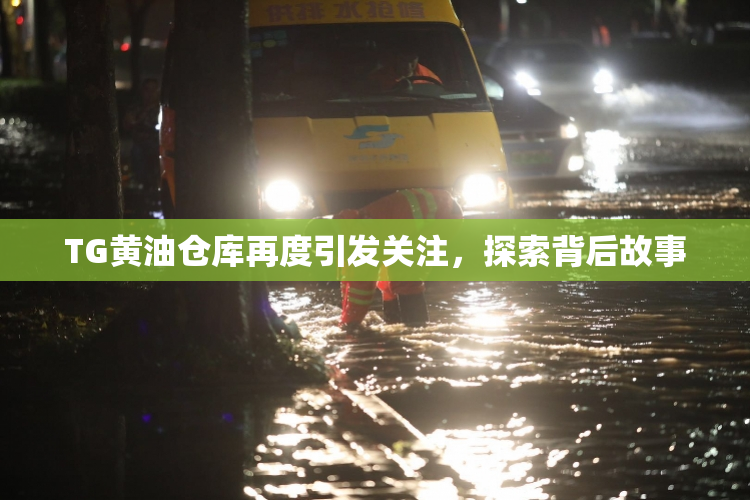 TG黄油仓库再度引发关注，探索背后故事
