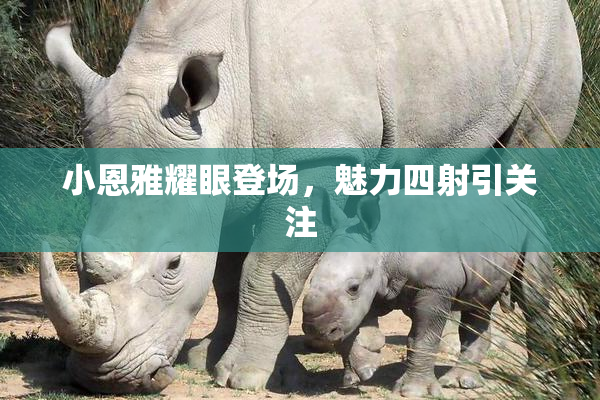 小恩雅耀眼登场，魅力四射引关注