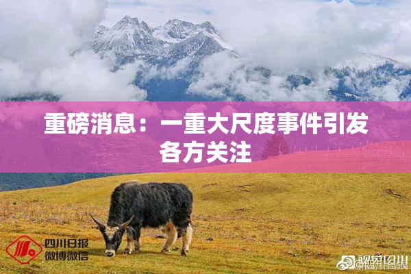 重磅消息：一重大尺度事件引发各方关注