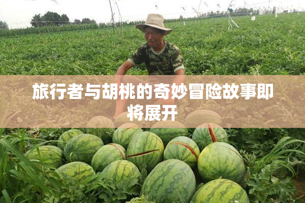 旅行者与胡桃的奇妙冒险故事即将展开