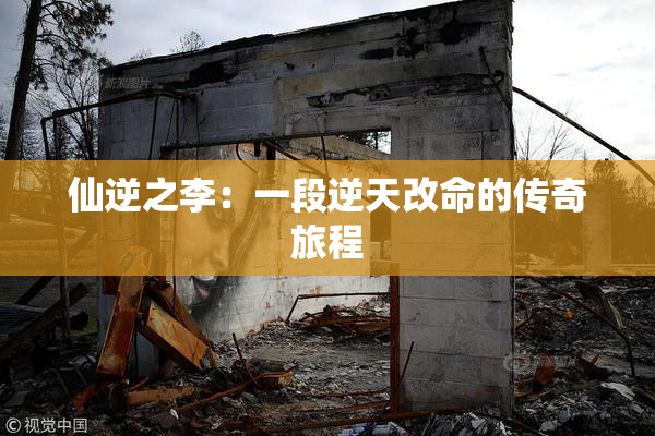 仙逆之李：一段逆天改命的传奇旅程