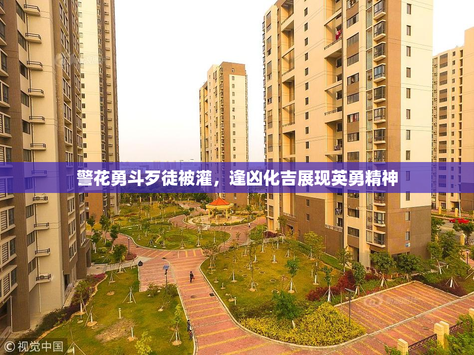 警花勇斗歹徒被灌，逢凶化吉展现英勇精神