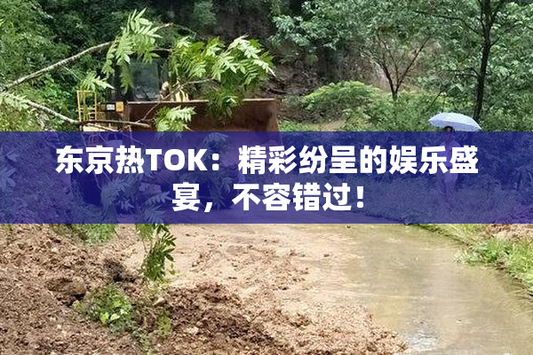 东京热TOK：精彩纷呈的娱乐盛宴，不容错过！