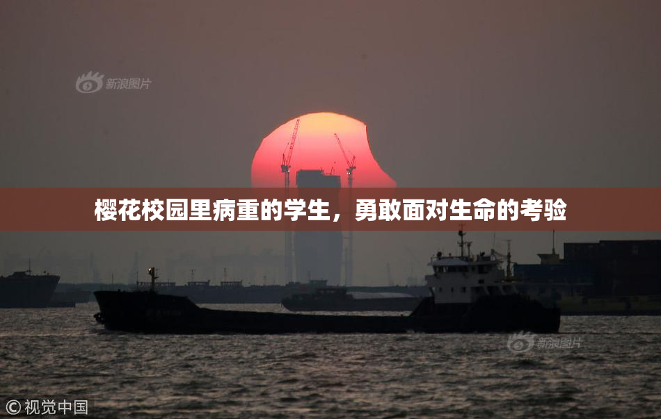 樱花校园里病重的学生，勇敢面对生命的考验
