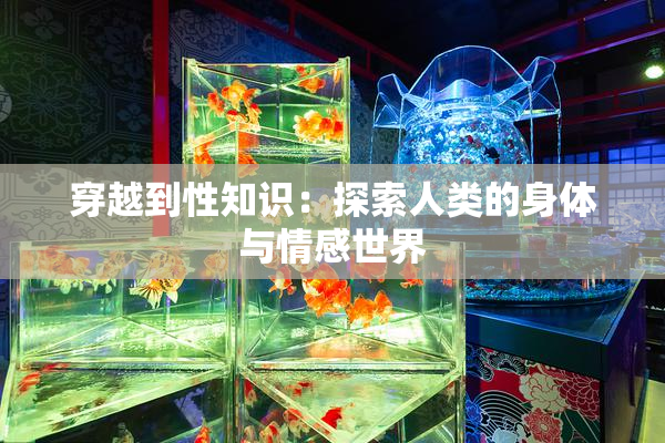 穿越到性知识：探索人类的身体与情感世界