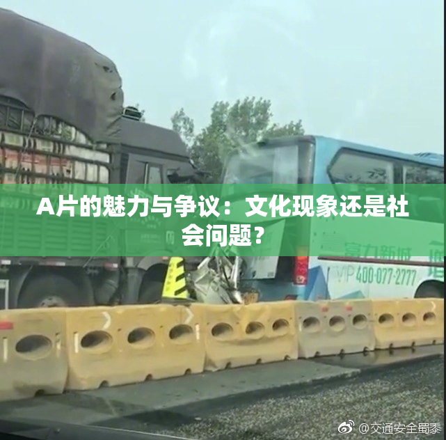 A片的魅力与争议：文化现象还是社会问题？