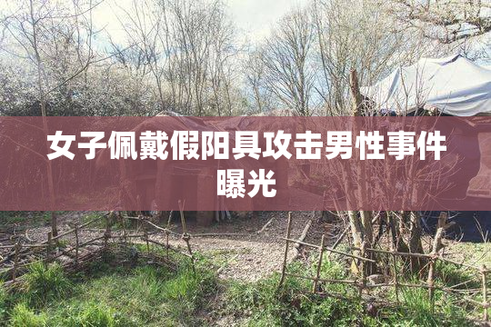 女子佩戴假阳具攻击男性事件曝光