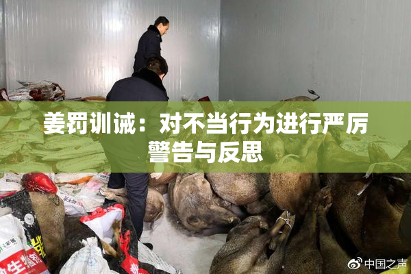 姜罚训诫：对不当行为进行严厉警告与反思